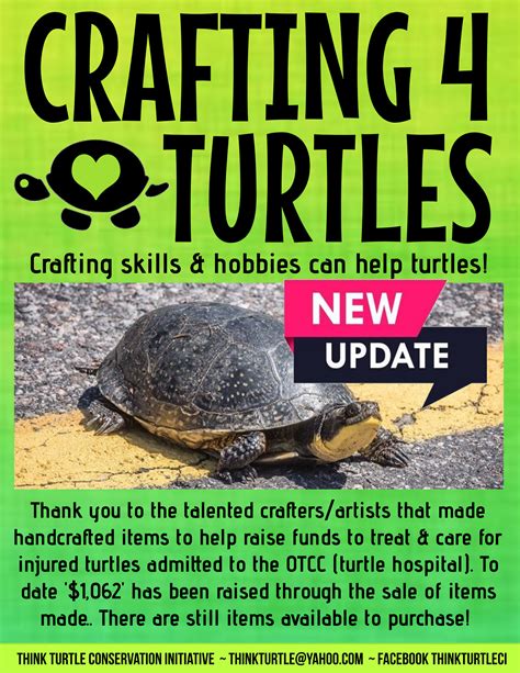 Crafting 4 Turtles Update Think Turtle Conservation Initiative