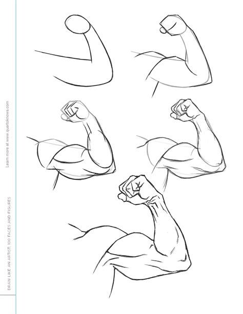 How To Draw Arm Muscles Step By Step Easy Drawing Gui