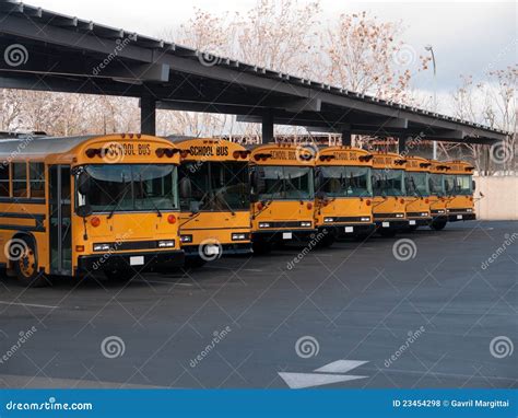 Autobuses Escolares Foto De Archivo Imagen De Pavimento 23454298