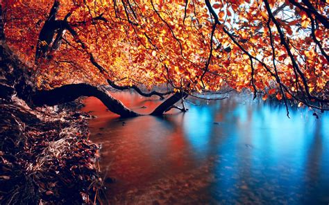 Beautiful Autumn Lake Wallpapers 1440x900 772632