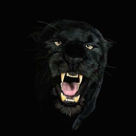 Black Panther By Manicx12 On Deviantart Zwarte Jaguar Zwarte Panter