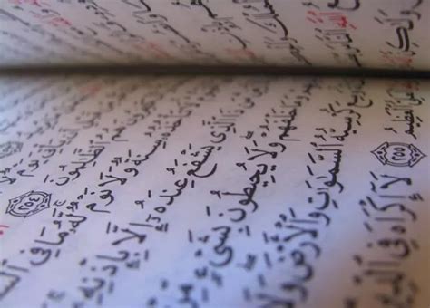 Every Muslim Should Know These Facts About The Holy Quran