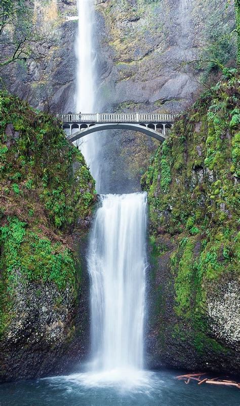 10 Amazing Waterfall Hikes In Oregon Waterfall Pictures Waterfall Photography Beautiful