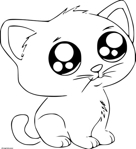 Anime bébé petit raton laveur emojis sur fond rose. Dessin Mignon Facile Luxe Photographie Dessin De Chat Facile Et Mignon Fran Aise Biginf - 3 ...