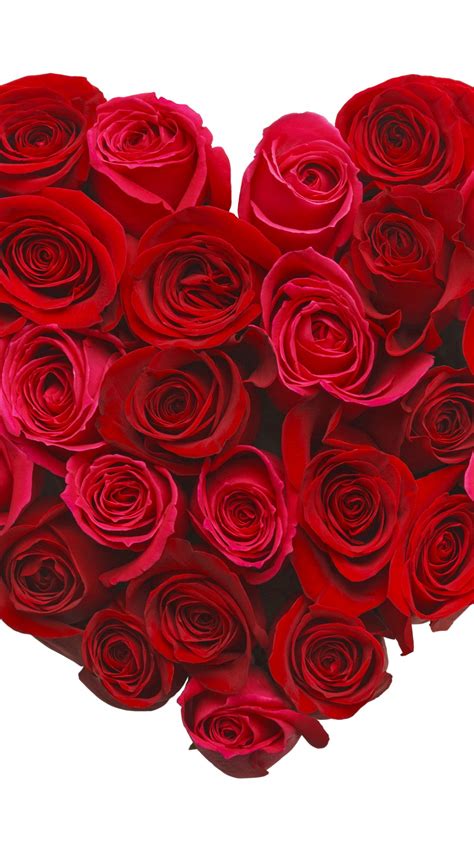 Rose — целовал плечи (single 2020). Stock Images love image, heart, 5k, rose, flowers, Stock ...