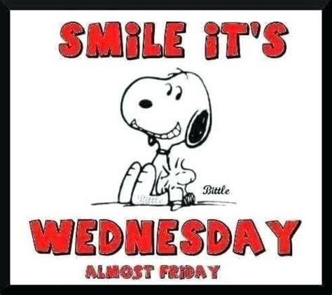 Wednesday Snoopy Quotes Pictures Wednesday Hump Day Wednesday