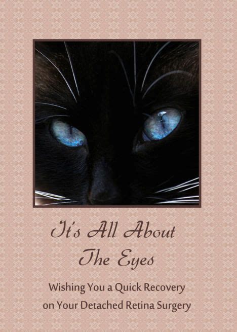 Find out how much different surgeries cost for dogs and cats, and whether pet insurance will cover them. Detached Retina Surgery - Quick Recovery - Siamese Cat ...