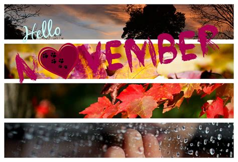 Get Ready For November With 800 November Desktop Backgrounds For Your