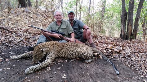 Leopard Hunt With Hounds Special 2017