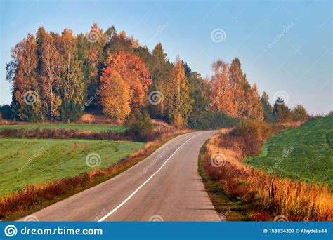 Paved Road Surrounded By Trees During Peak Colors Of Autumn Stock Image