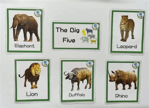 The Big Five Animals Of Africa