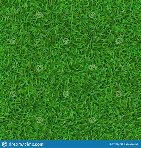 Green Carpet Of Grass Wallpaper Arthatravel Com