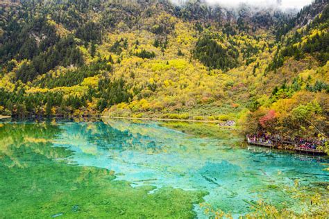 Five Color Pond At Jiuzhaigou Sichuan China Stock Photo Image Of