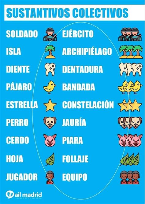 Sustantivos colectivos Sustantivos individuales Vocabulario español