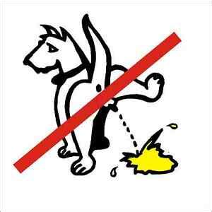 Hunde verboten schild ausdrucken : Hunde Verbot Schild pinkelnder Hund Kunststoff witterungsb ...