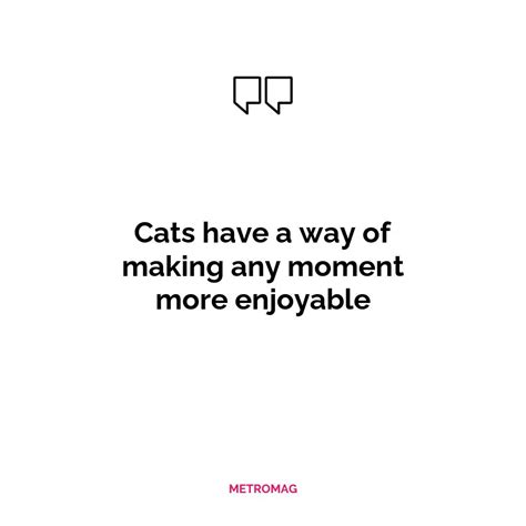 Updated 460 Purrfect Kittie Captions To Brighten Your Day Metromag