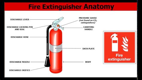 Free Printable Fire Extinguisher Training Certificate Templates Hot Sex Picture