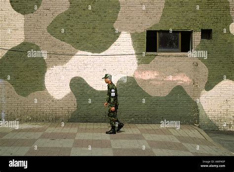 A Rok Soldier In Camouflaged Clothing Walking Past A Camouflaged Look