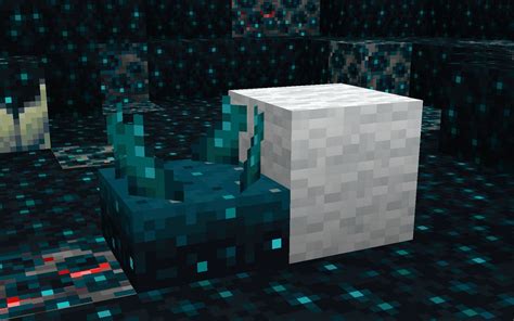 How To Use Wool In Deep Dark Biome In Minecraft 119