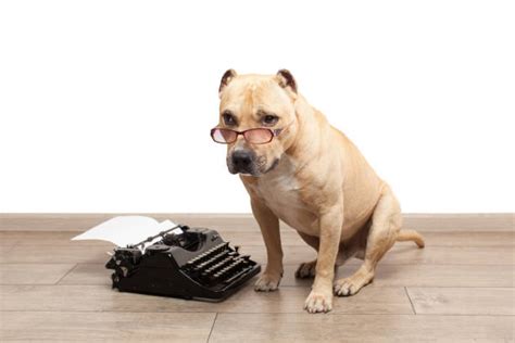 Royalty Free Dog Writing Pictures Images And Stock Photos Istock