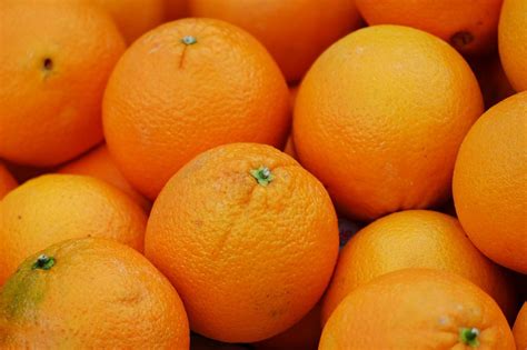 Zdrowa Kuchnia | Pomarańcza gorzka