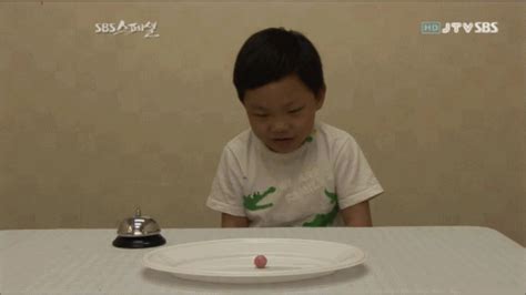 What to gift female colleague. Pgr21 - 유머 기생수.gif