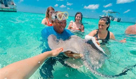 The Ultimate Guide To Swimming With Stingrays In The Grand Cayman