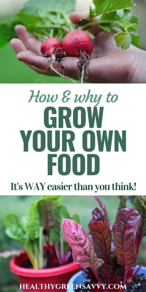 Growing Your Own Food Is Easier Than You Think Grow Your Own Food Organic Vegetable Garden