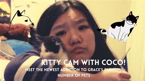 kitty cam with coco entering into the wild featuring gabbie grylls youtube