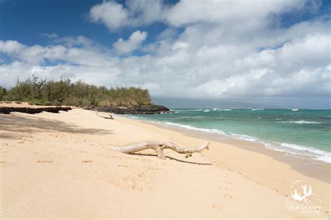Paia Secret Beach Maui Complete 2023 Guide Photos