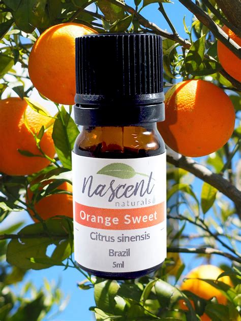 Orange Sweet Citrus Sinensis Essential Oil Is From Brazil It Is Extracted By Expression Of