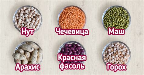 Виды бобовых фото