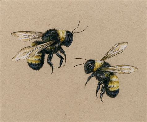 Bees Art Print Drawing Colored Pencil Lover Bees Flying