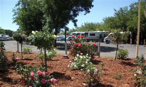 We are 25 miles from grass valley and auburn and 60 miles from. Auburn RV Park Photo Gallery | RV Camping in Auburn, CA