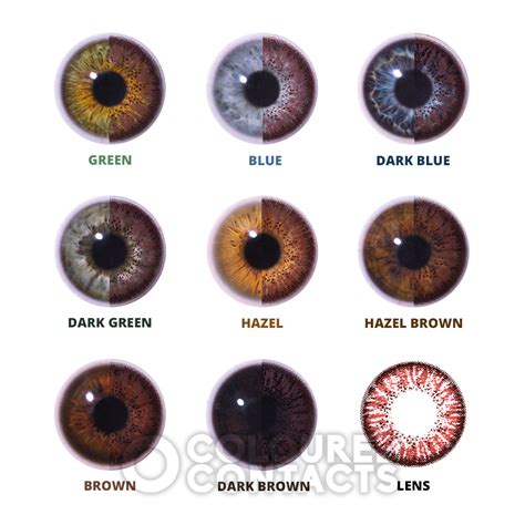 Hazel Two Tone 90 Day Colored Contact Lenses Natural Brown