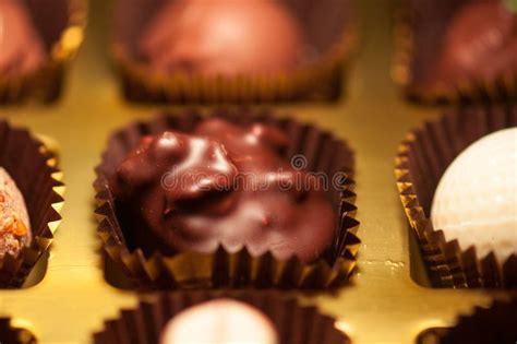 Chocolates Assortment Of Fine Dark Brown And White Chocolates Stock