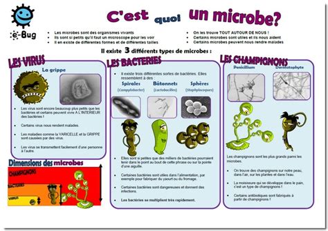 Education à La Santé Les Micro Organismes Centre Départemental De