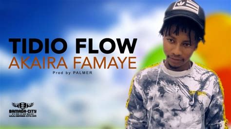 Tidio Flow Akaira Famaye Bamada City