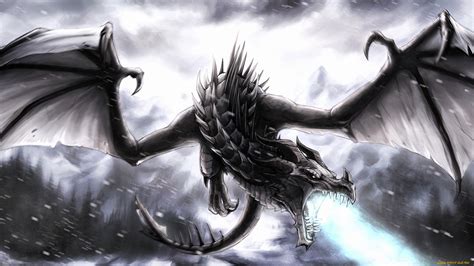 Black Dragon Full Hd Wallpaper And Background Image X Id