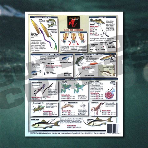 Bait Rigging Freshwater Fish Chart 1 Live Bait Rigs Bottom Rigs