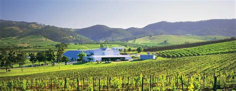 The hunter valley is one of australia's best known wine regions. Hunter Valley Wineries | AAT Kings