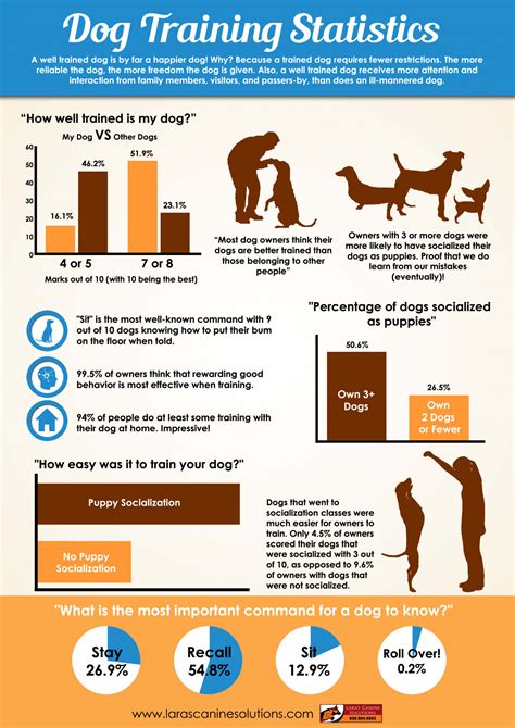 Interesting Dog Training Statistics Visually