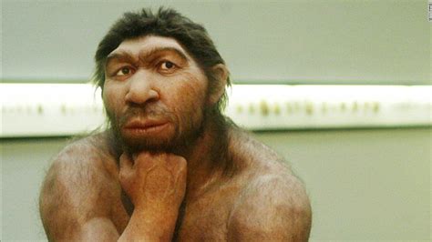 human ancestors mated with the mysterious denisovans early humans ancient humans human species