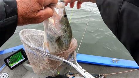 Catching Crappie Double Jig Rig With Minnows Youtube