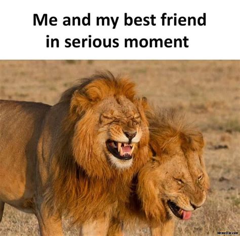Qibli So True Friendship Memes