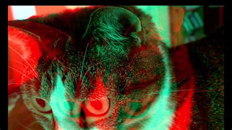Rosie The Cat 3d Anaglyph Youtube