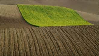 Ein grüner teppich im flur wirkt auf den ersten blick einladend. ...ein grüner Teppich... Foto & Bild | landschaft, Äcker ...