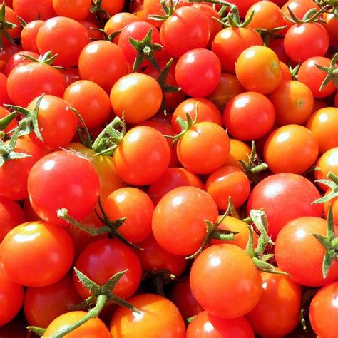Tomato Seeds Large Red Cherry Pkg Bulkherbsandspicecom