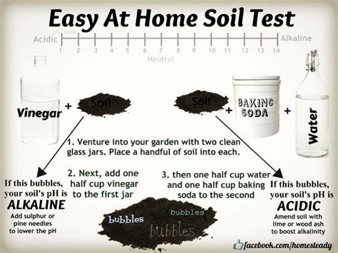 Dont Know About You But My Soil Knowledge Is Scant This Season I