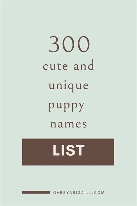 300 Cute And Unique Puppy Names List Gabbyabigaill